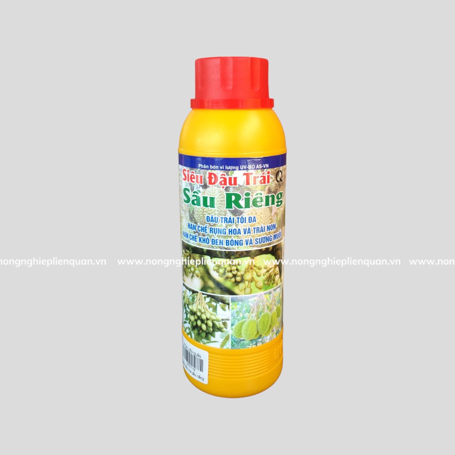 SIÊU ĐẬU TRÁI SẦU RIÊNG