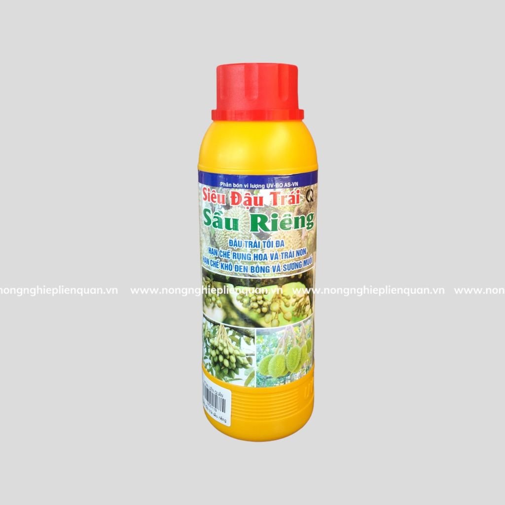 SIÊU ĐẬU TRÁI SẦU RIÊNG