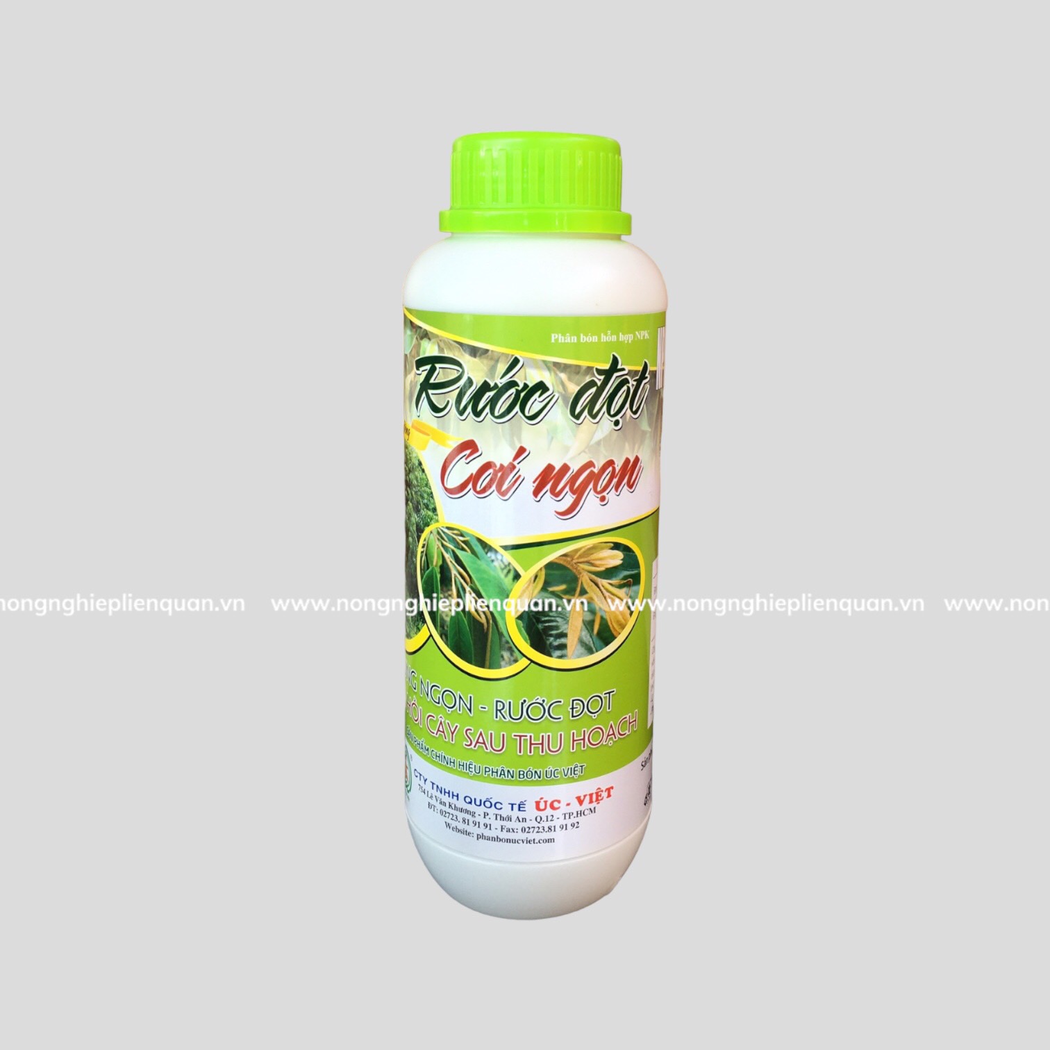 RƯỚC ĐỌT CƠI NGỌN (L) UV