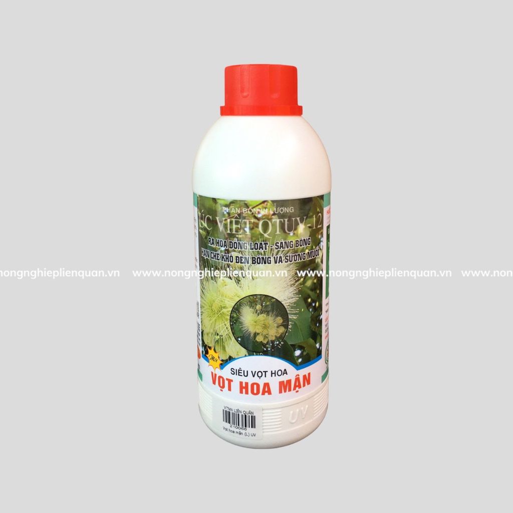 VỌT HOA MẬN (L) UV