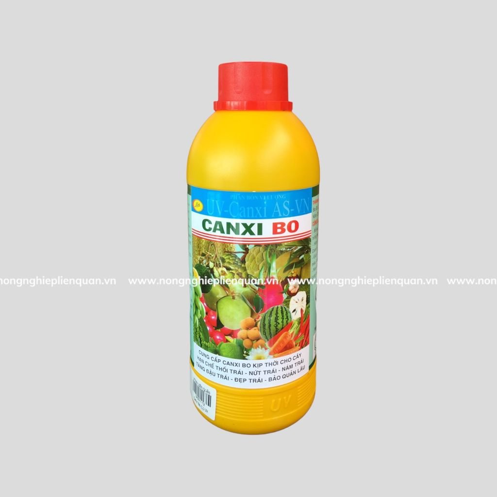 CANXI BO (L) UV