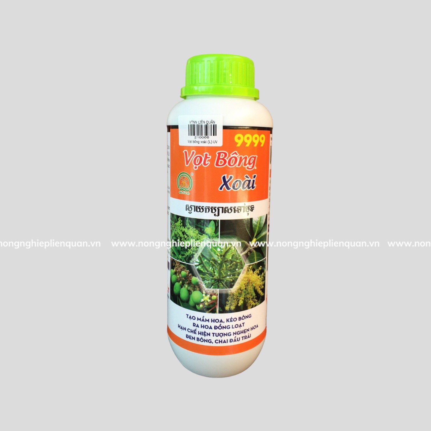 VỌT BÔNG XOÀI 9999 (L) UV