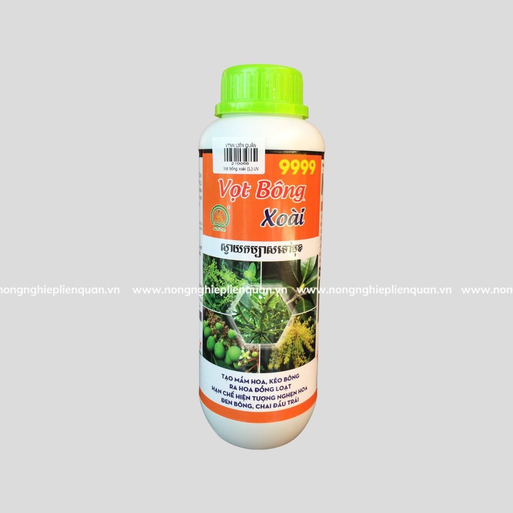 VỌT BÔNG XOÀI 9999 (L) UV