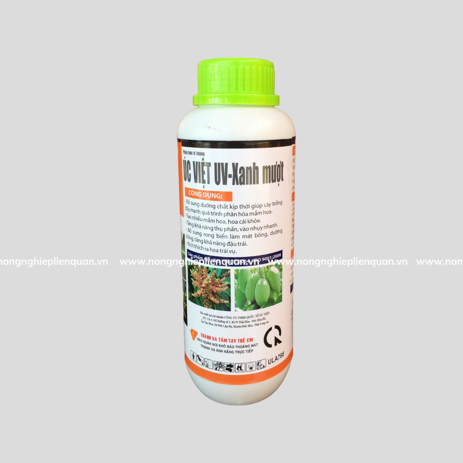 VỌT BÔNG XOÀI 9999 (L) UV