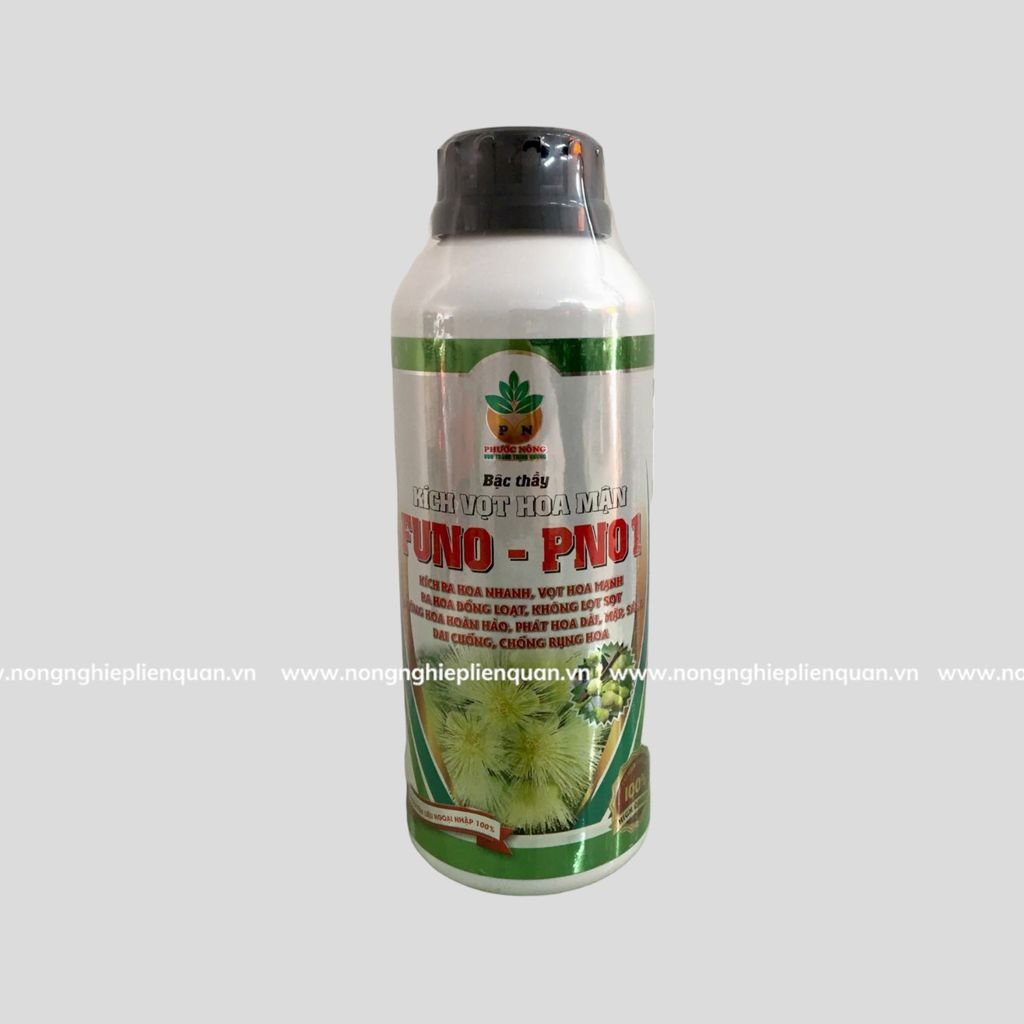 KÍCH VỌT HOA MẬN (L)