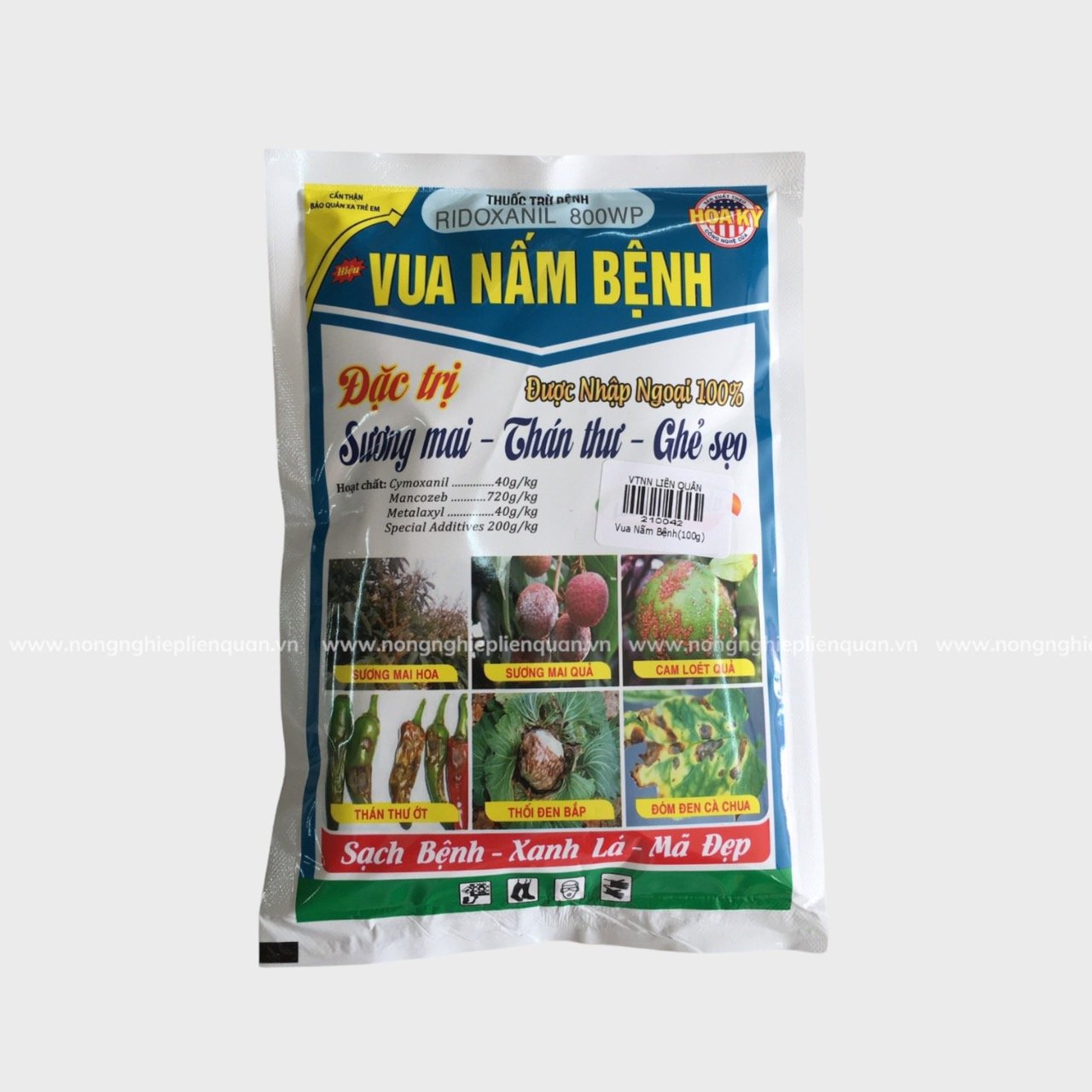 VUA NẤM BỆNH (100g)