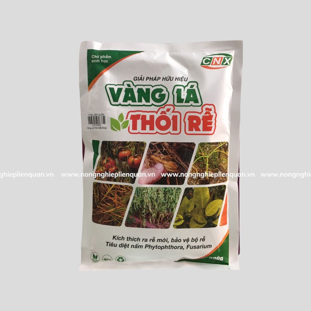 VÀNG LÁ THỐI RỄ (500g)