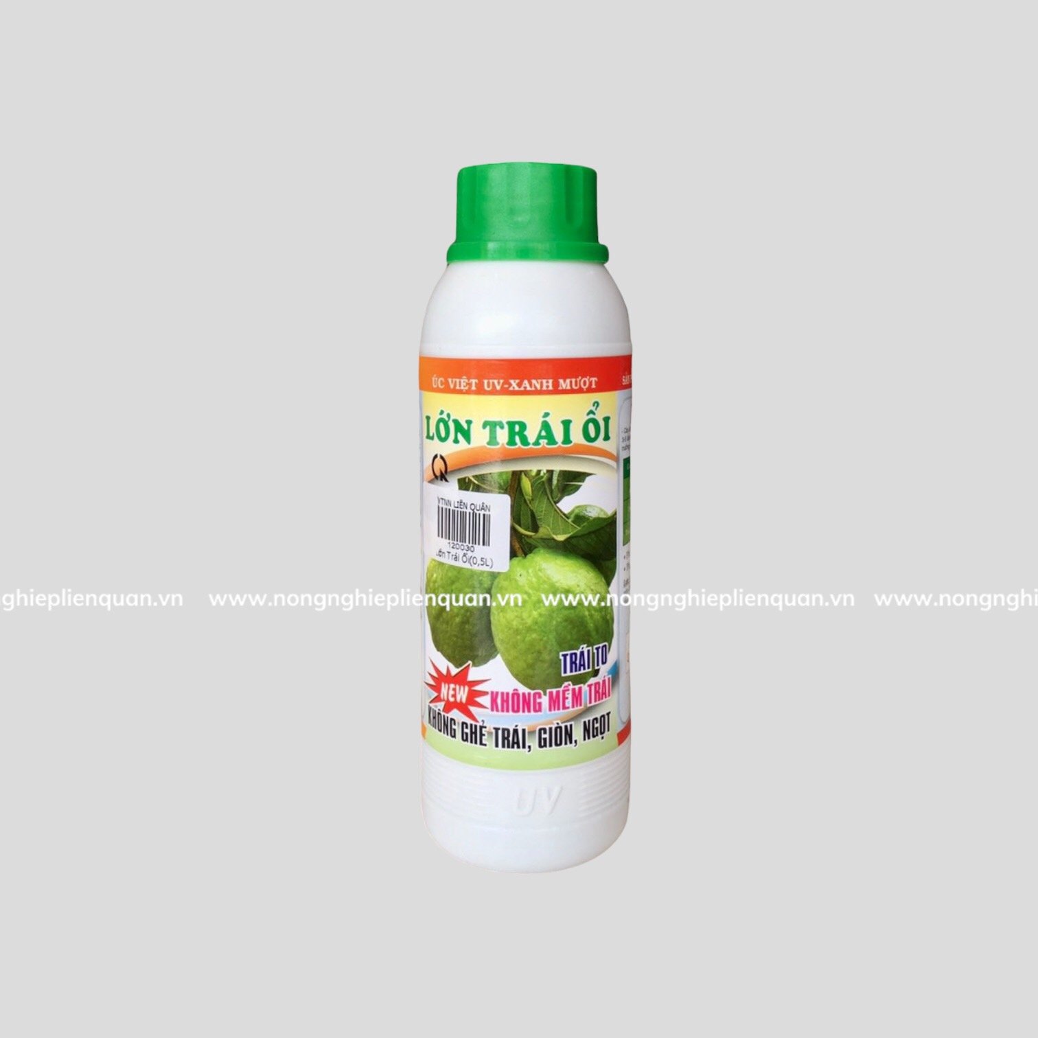 LỚN TRÁI ỔI (500ml)