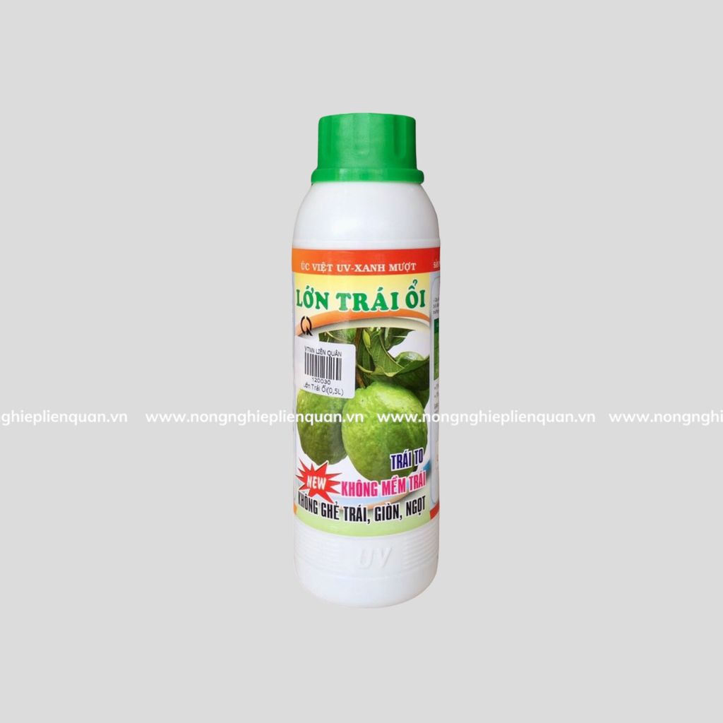 LỚN TRÁI ỔI (500ml)