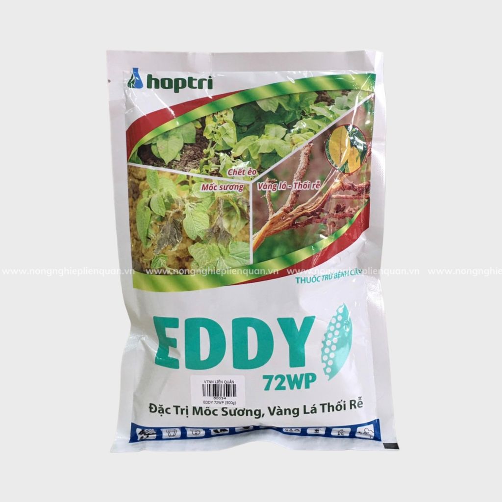 EDDY 72WP