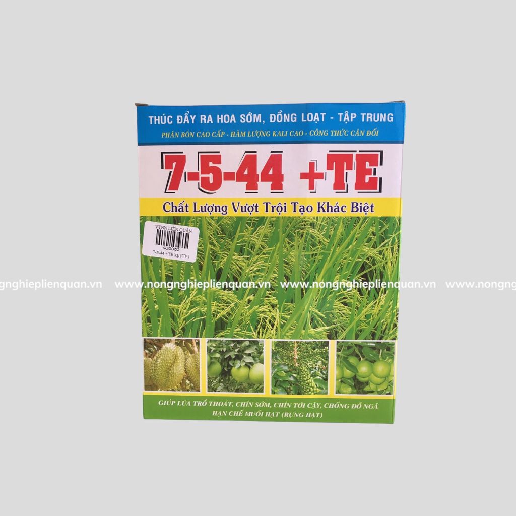 7544 + TE (KG)