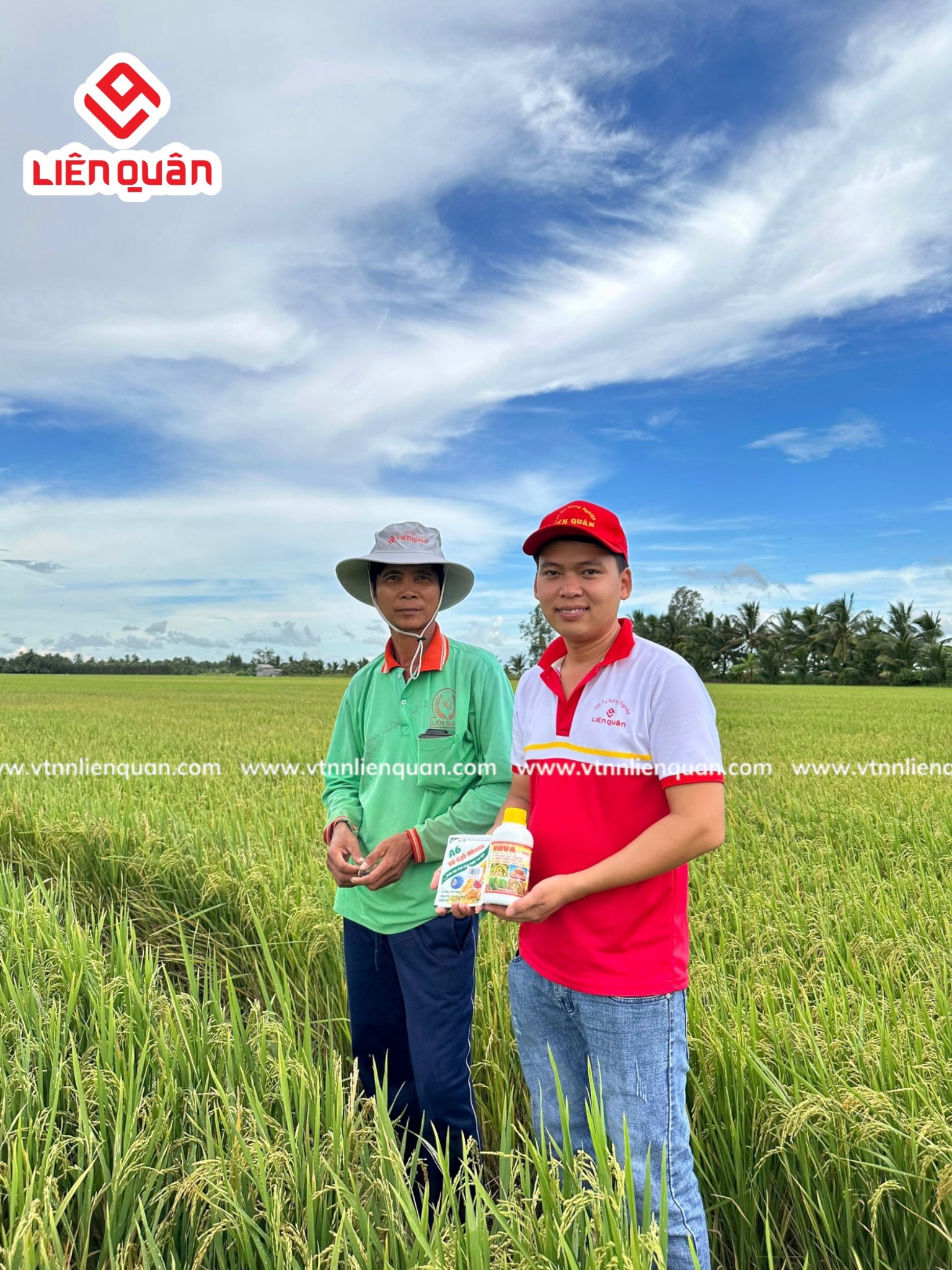 TeamLiênQuân thăm ruộng chú Lương ở Cây Sộp - Kế Sách - Sóc Trăng