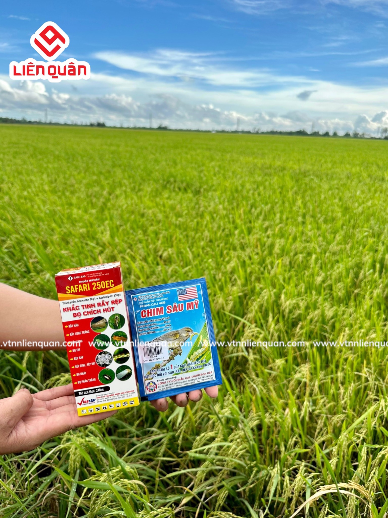 TeamLiênQuân thăm ruộng chú Lương ở Cây Sộp - Kế Sách - Sóc Trăng