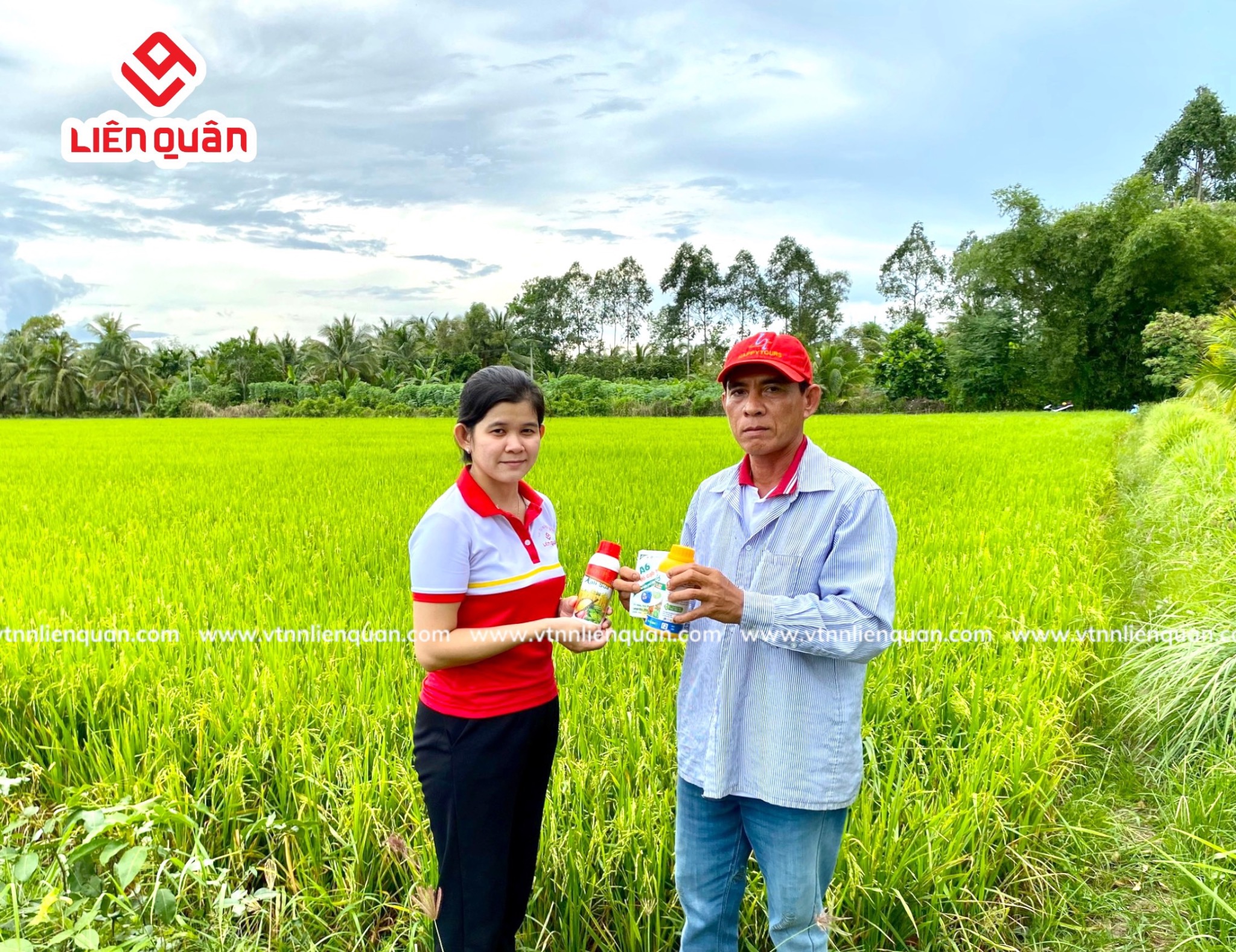 TeamLiênQuân thăm ruộng của chú Tư ở Trường Thọ - An Mỹ - Kế Sách - Sóc Trăng