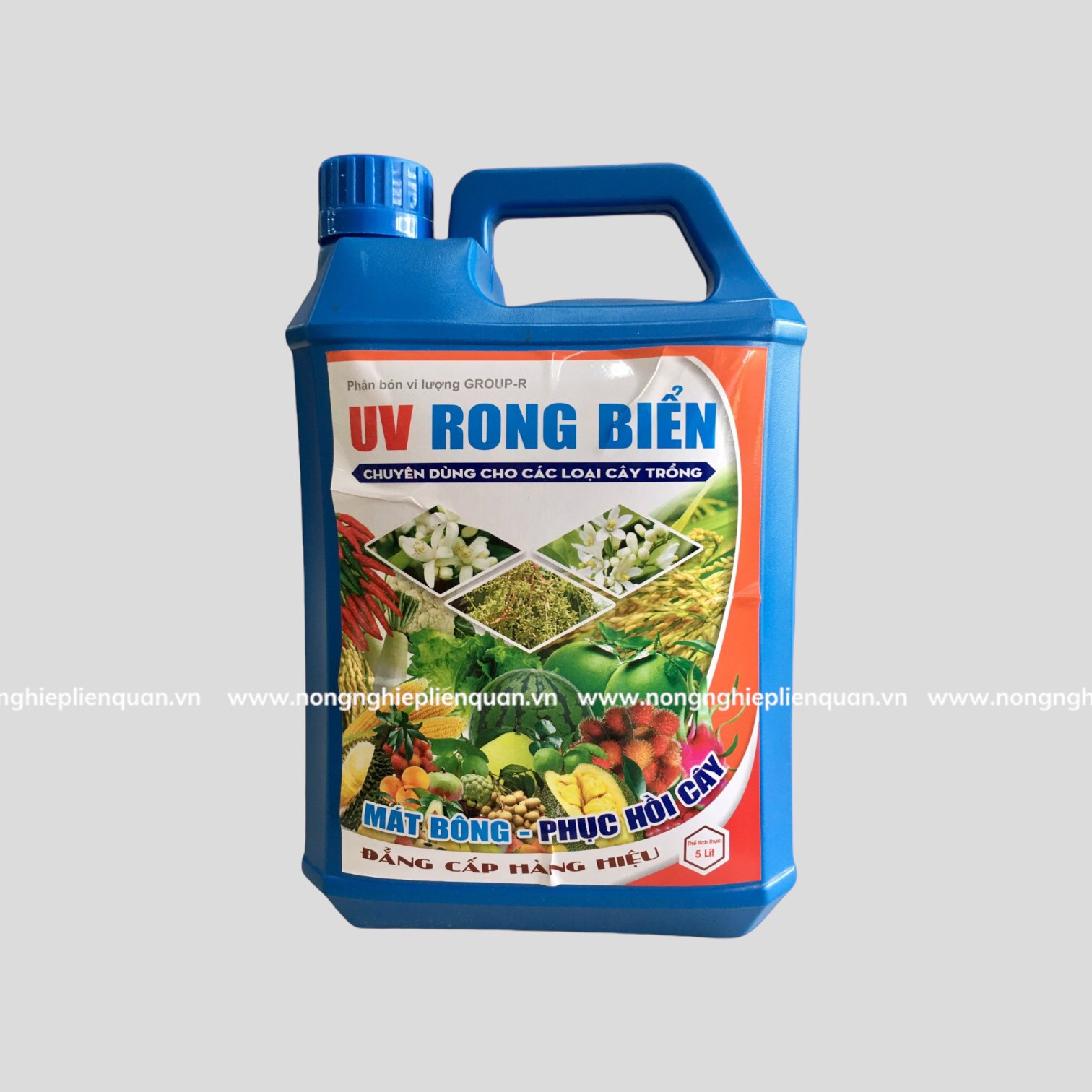 RONG BIỂN (5 lít)
