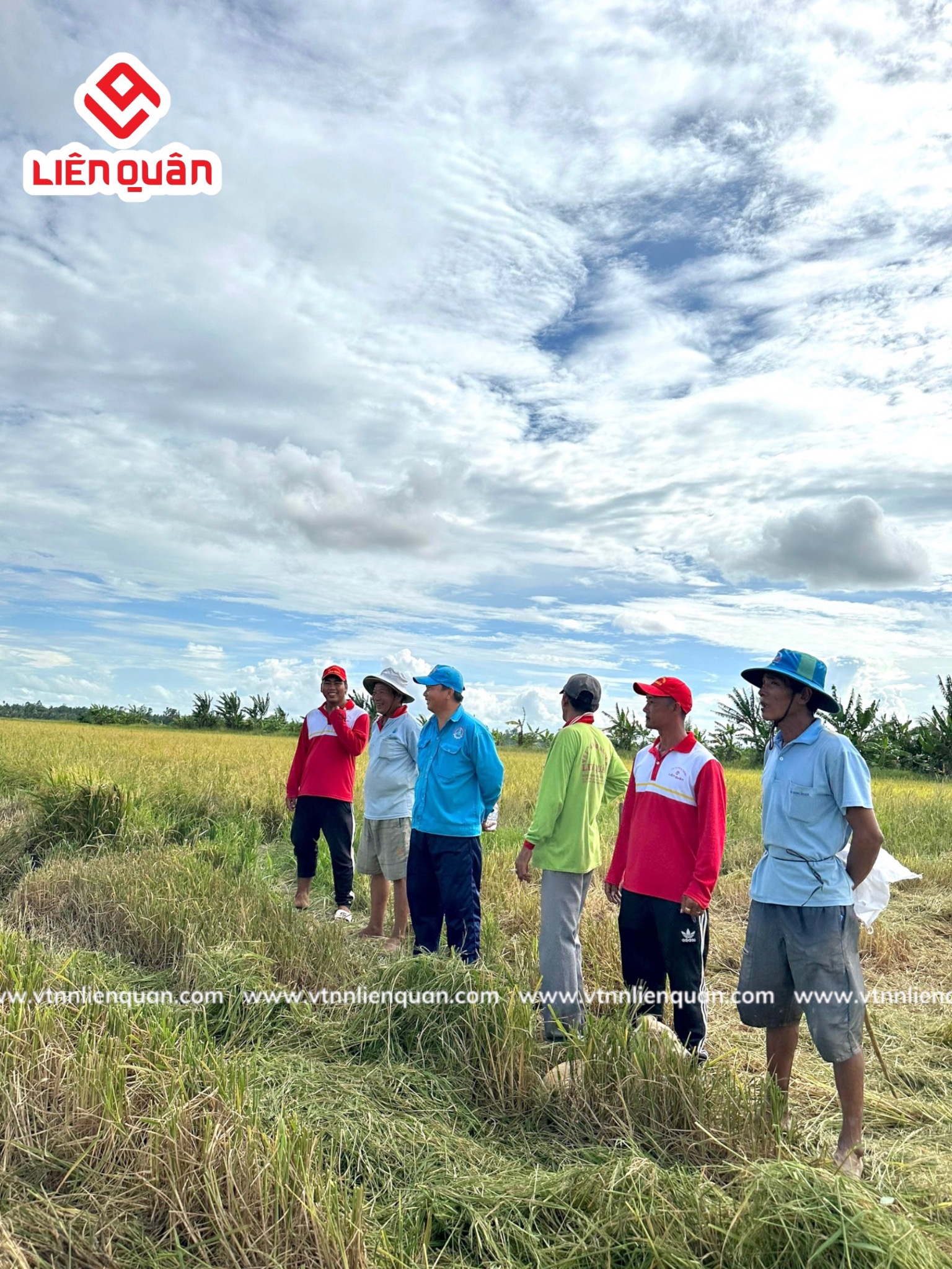 TeamLiênQuân thăm ruộng của chú Hường ở ấp Bồ Đề - Kế Sách - Sóc Trăng .