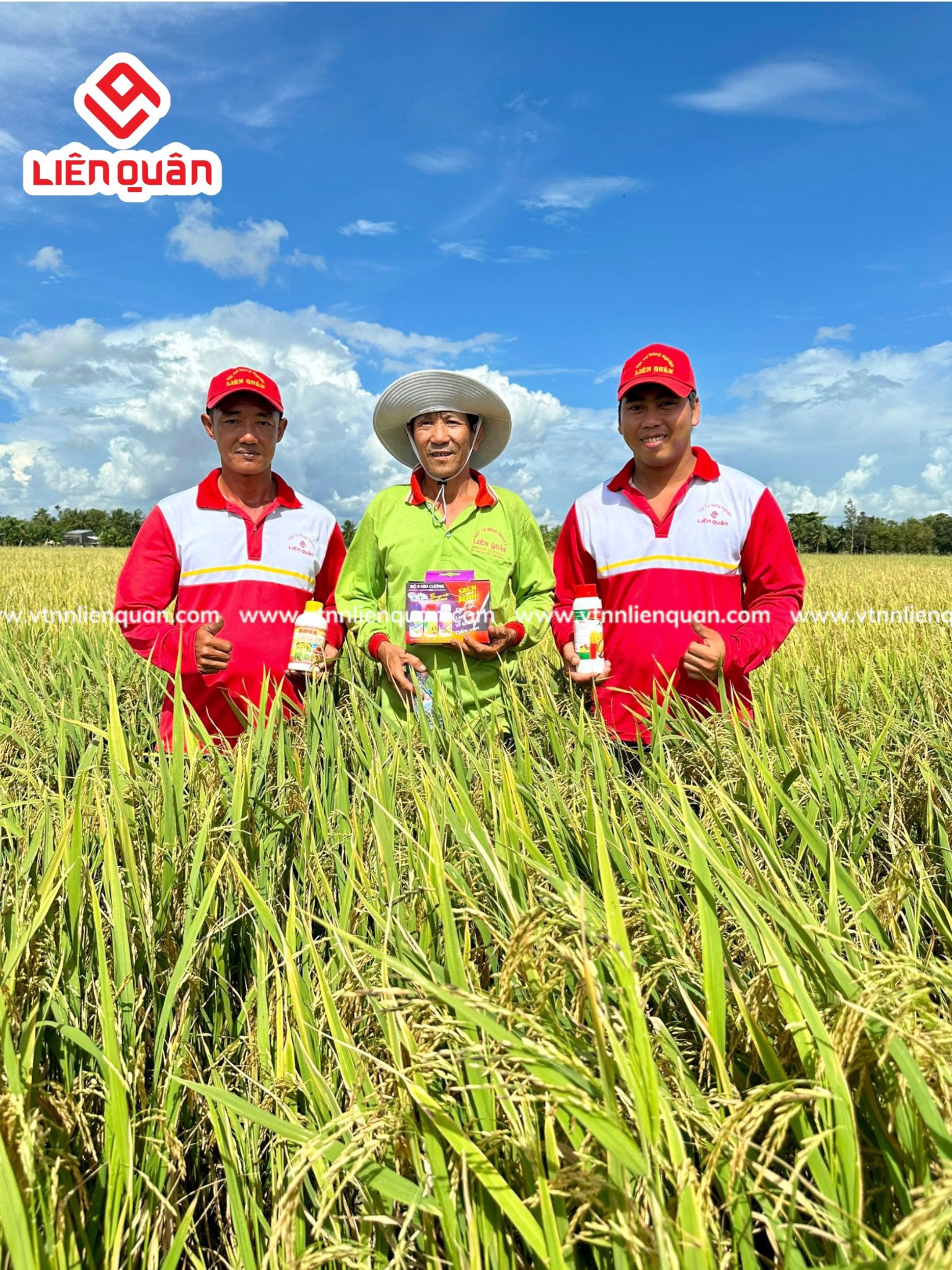 TeamLiênQuân thăm ruộng của chú Tư đang thu hoạch ở Bồ Đề - Kế Sách - Sóc Trăng .