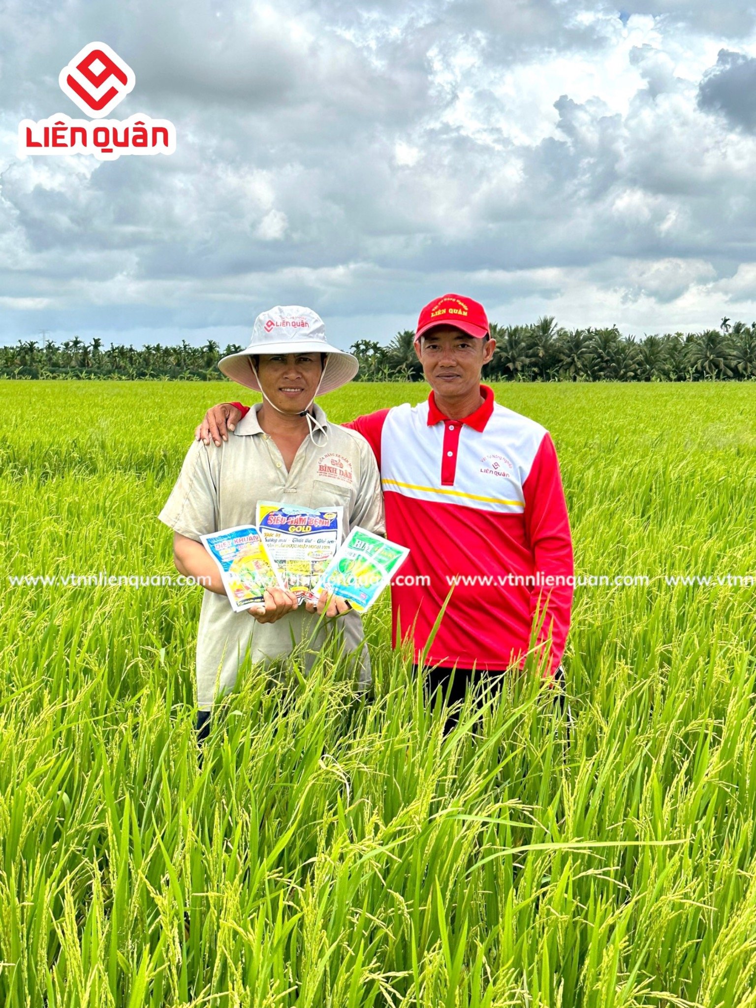 TeamLiênQuân thăm ruộng anh Quân ở ấp Trường Lộc, xã Trường Khánh, huyện Long Phú , tỉnh Sóc Trăng .