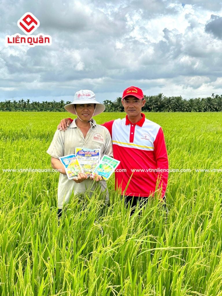TeamLiênQuân thăm ruộng anh Quân ở ấp Trường Lộc, xã Trường Khánh, huyện Long Phú , tỉnh Sóc Trăng .