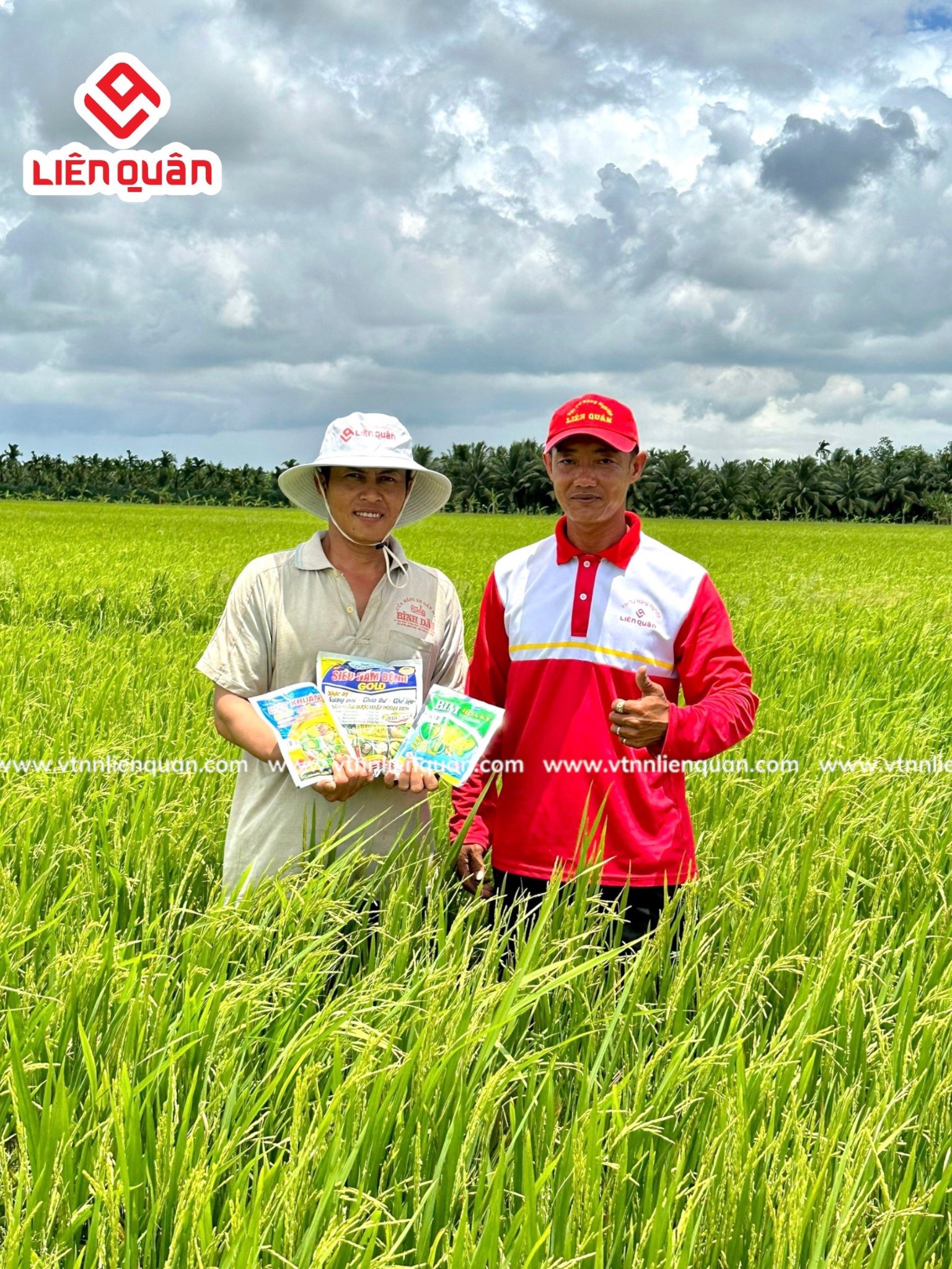 TeamLiênQuân thăm ruộng anh Quân ở ấp Trường Lộc, xã Trường Khánh, huyện Long Phú , tỉnh Sóc Trăng .