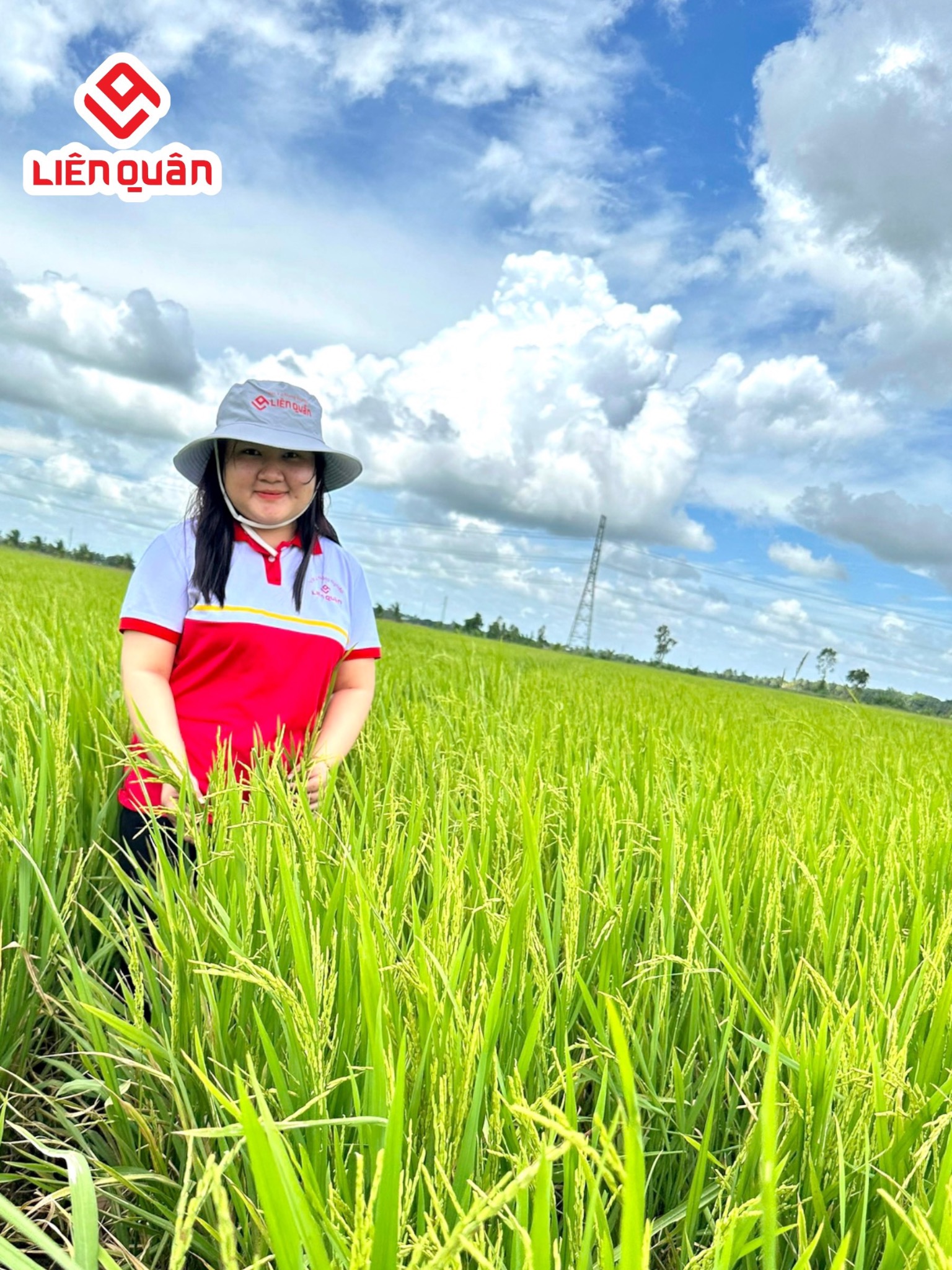 TeamLiênQuân thăm ruộng anh Quân ở ấp Trường Lộc, xã Trường Khánh, huyện Long Phú , tỉnh Sóc Trăng .