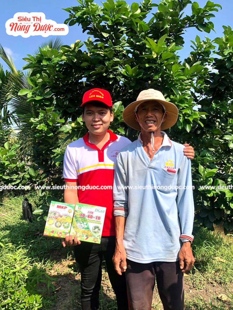 TeamLiênQuân thăm vườn bưởi của chú Dũng ở Cây Sộp Kế Thành -Kế Sách - Sóc Trăng