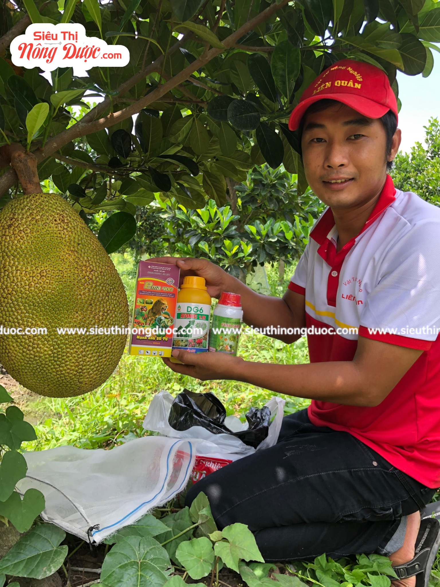 TeamLiênQuân thăm vườn mít của chú Hai Mãnh ở Cái Cau Xuân Hoà - Kế Sách - Sóc Trăng