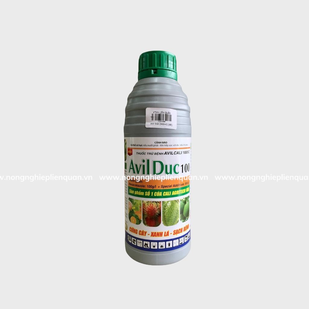 AVIL DUC (L)