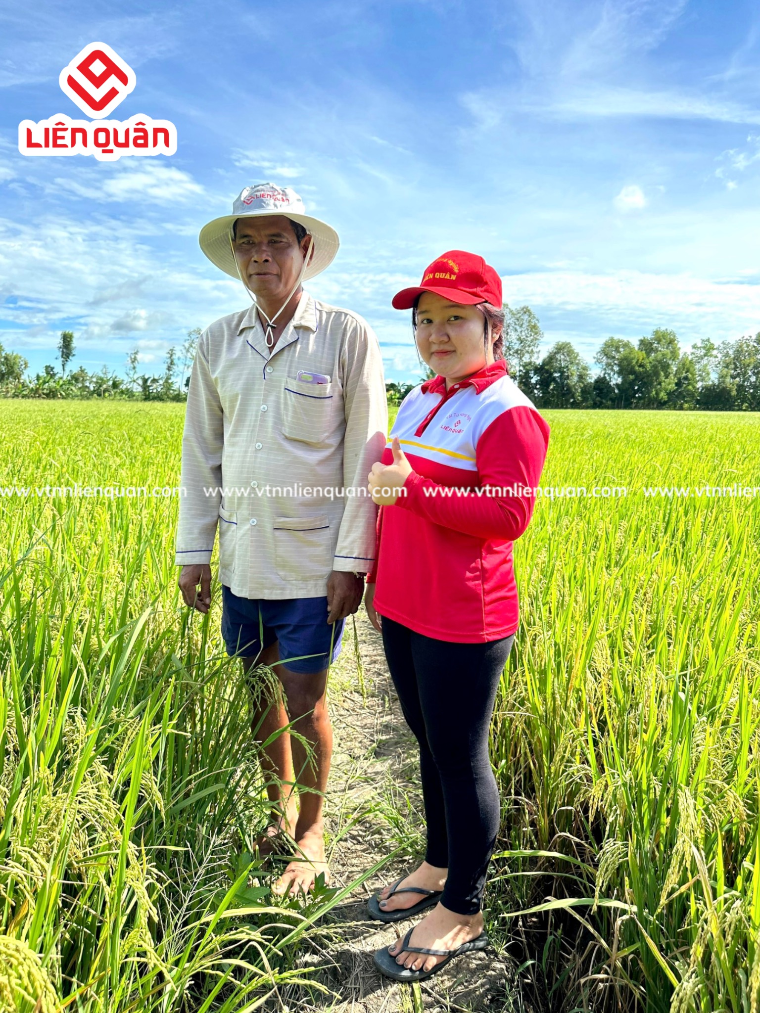 TeamLiênQuân thăm ruộng Chú Săn ở Cây sộp - Kế Sách  - Sóc Trăng