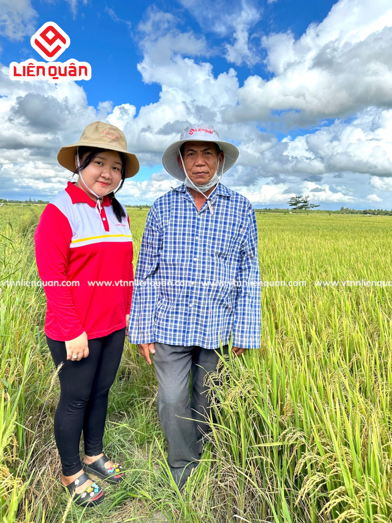 TeamLiênQuân thăm ruộng của Chú Sết ở ấp An Phú-Thị Trấn Kế Sách-Sóc Trăng