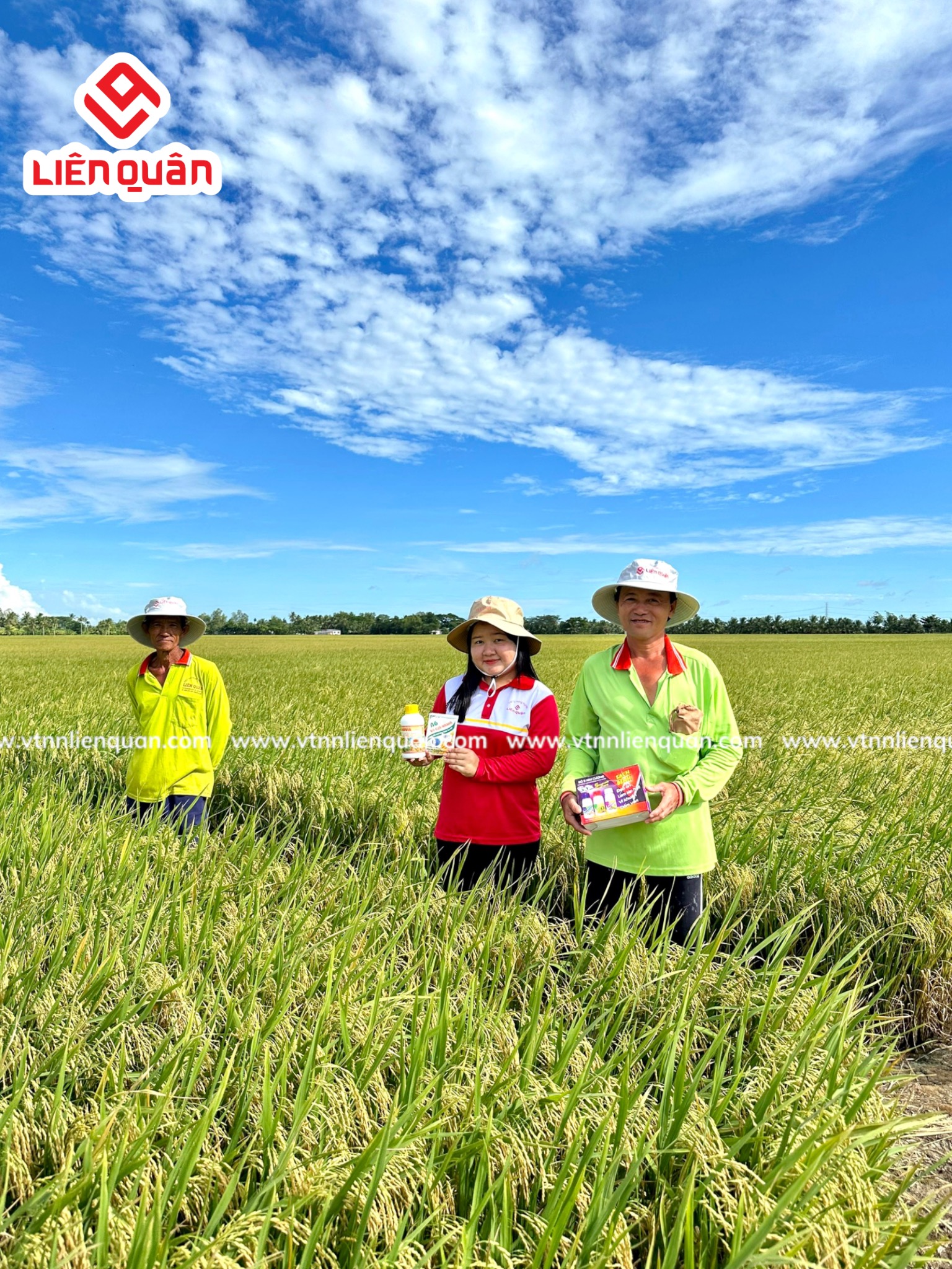 TeamLiênQuân thăm ruộng anh Đan ở Phú Tâm - Châu Thành - Sóc Trăng