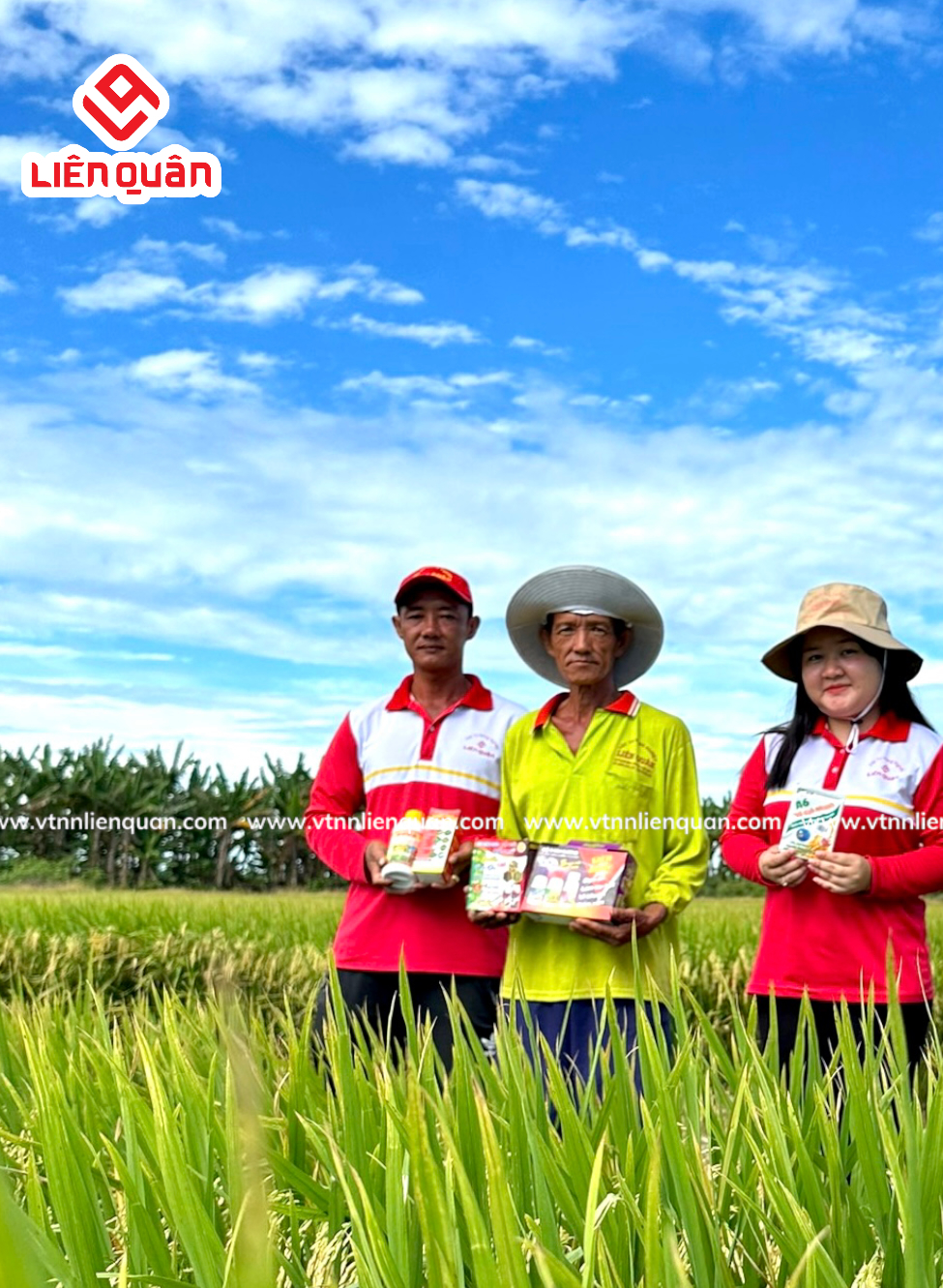 TeamLiênQuân thăm ruộng anh Chú Văn địa chỉ : Phú Tâm - Châu Thành - Sóc trăng