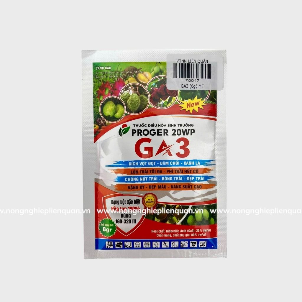 GA3 (8G)