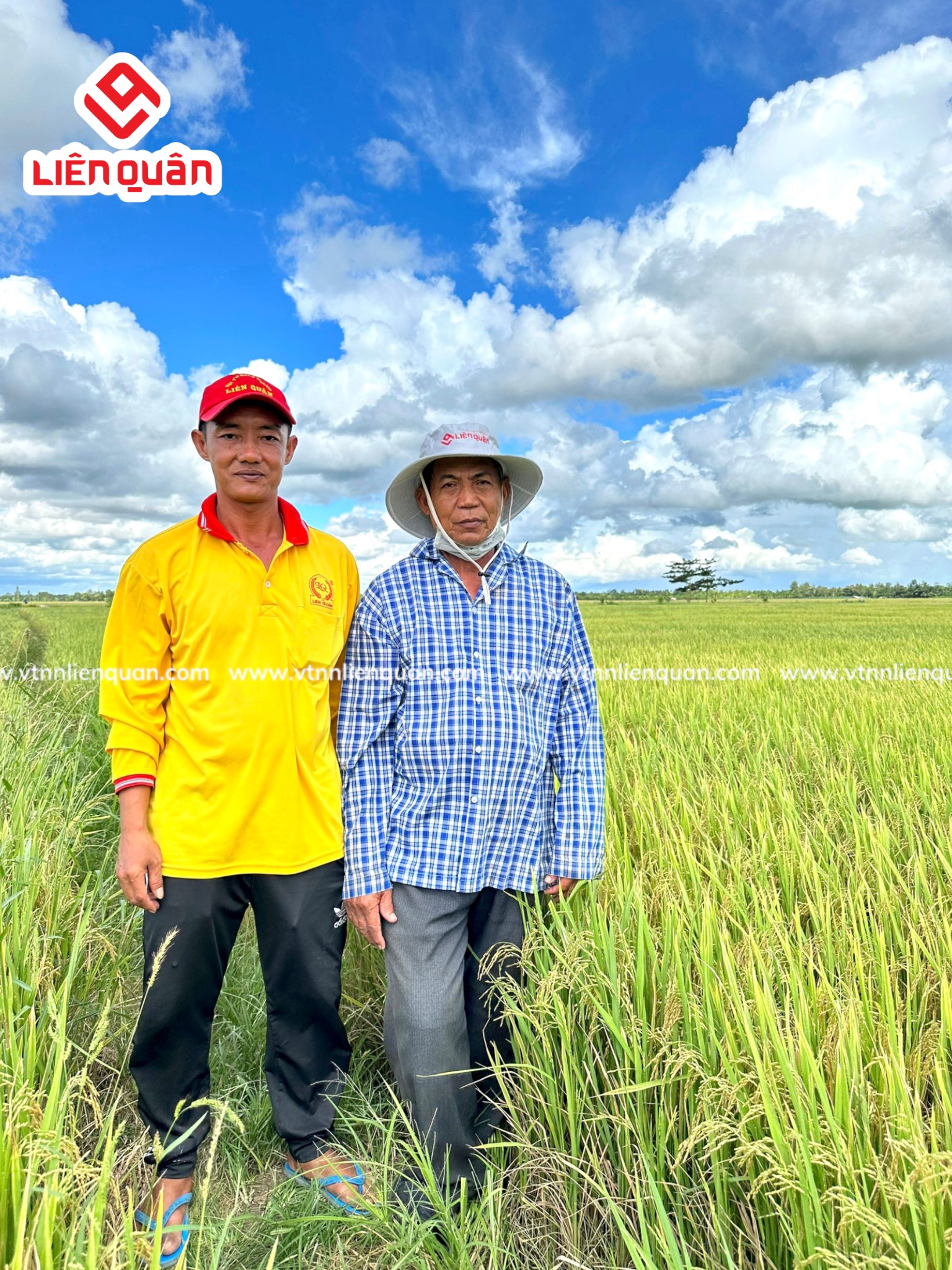 TeamLiênQuân thăm ruộng của Chú Sết ở ấp An Phú-Thị Trấn Kế Sách-Sóc Trăng