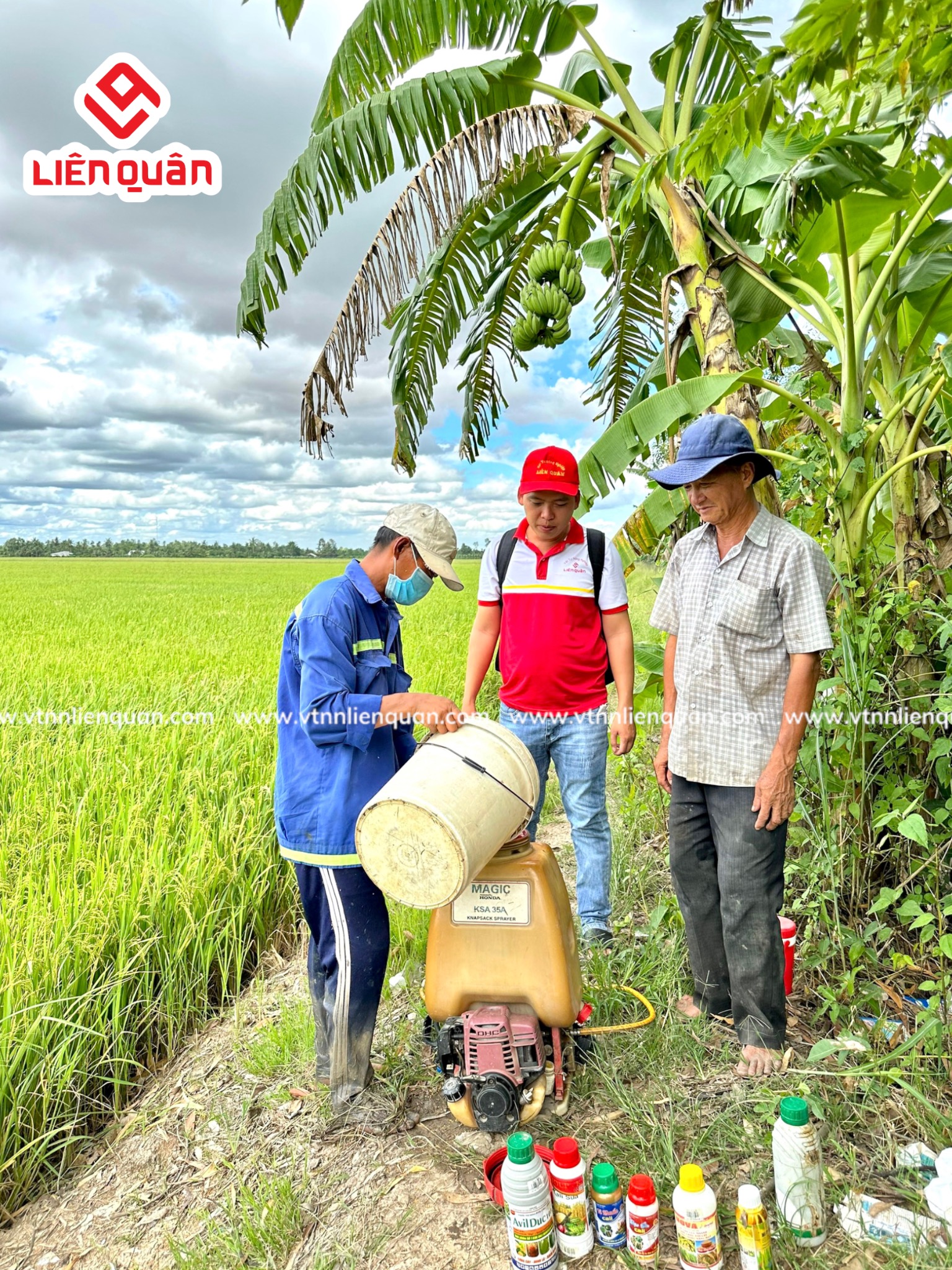 TeamLiênQuân thăm ruộng của Chú Mười Khâm ở Thới An Hội - Kế Sách - Sóc Trăng