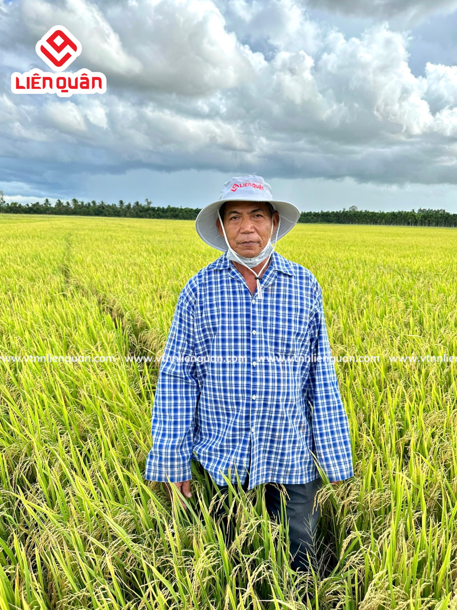 TeamLiênQuân thăm ruộng của Chú Sết ở ấp An Phú-Thị Trấn Kế Sách-Sóc Trăng