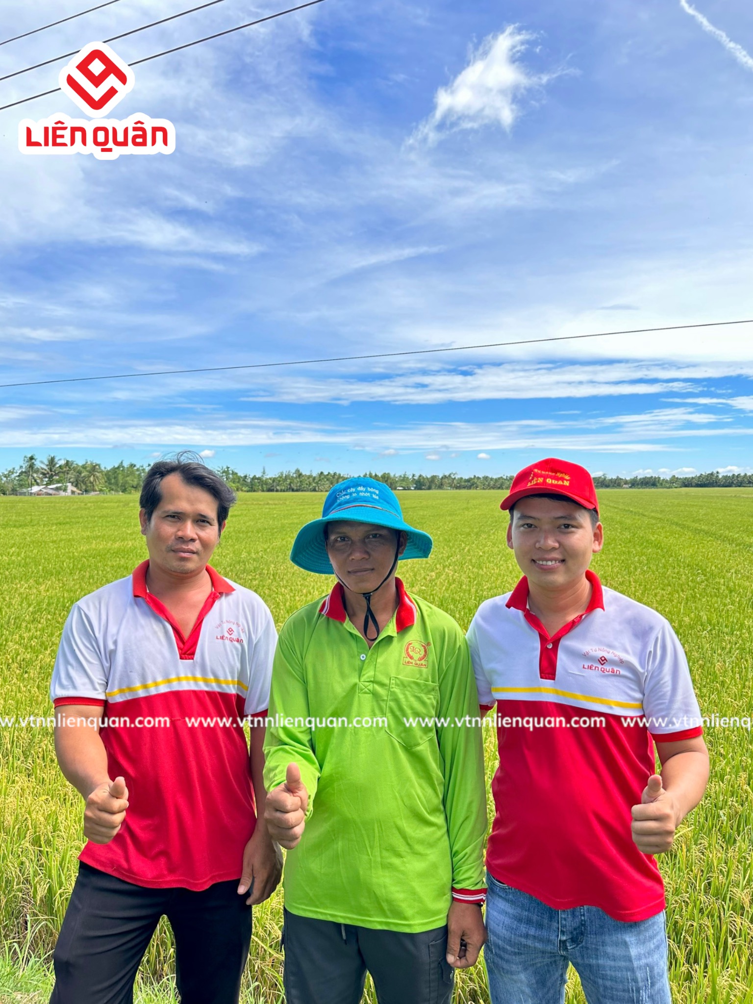 TeamLiênQuân thăm ruộng Anh Tha - Cây Sộp - Kế Sách - Sóc Trăng