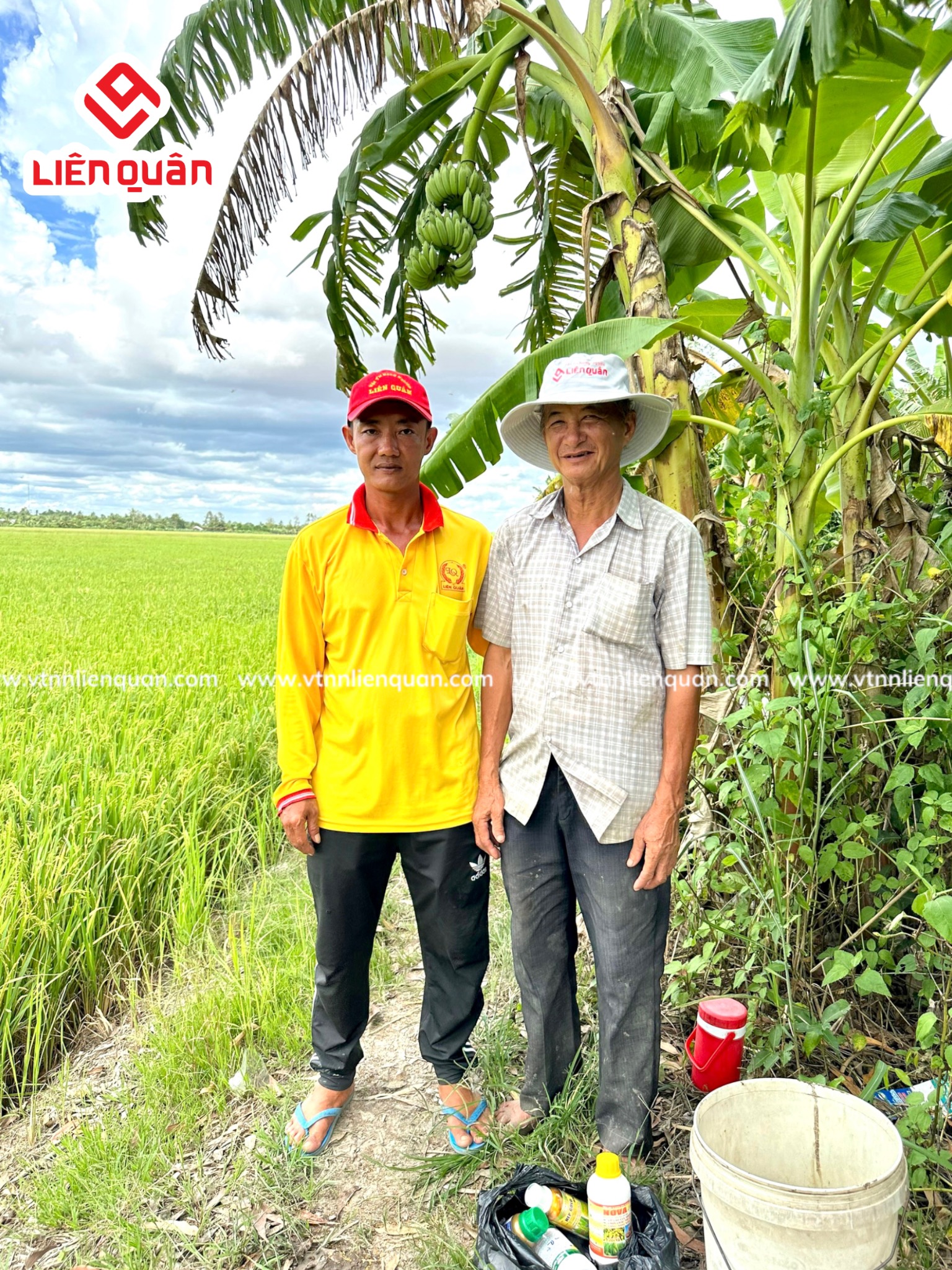 TeamLiênQuân thăm ruộng của Chú Mười Khâm ở Thới An Hội - Kế Sách - Sóc Trăng