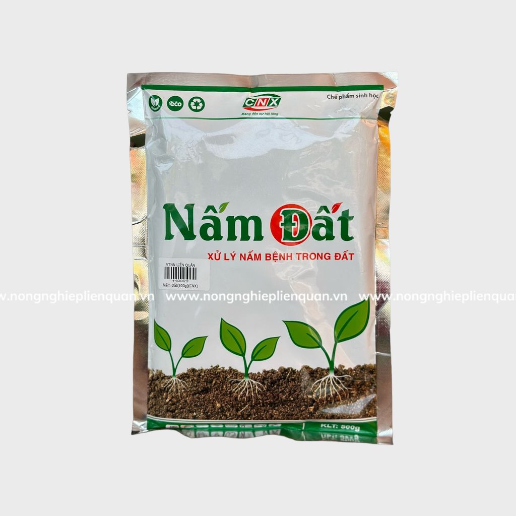 NẤM ĐẤT