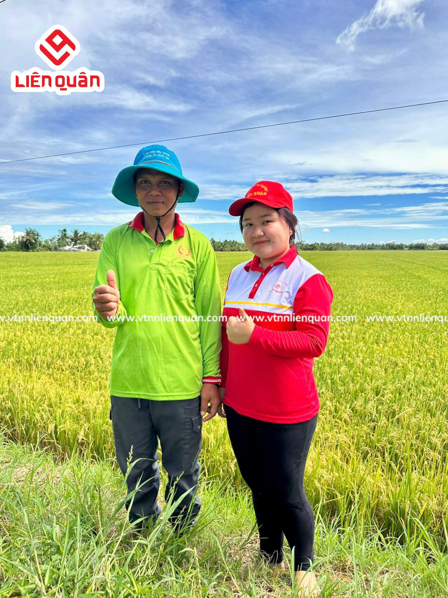 TeamLiênQuân thăm ruộng Anh Tha - Cây Sộp - Kế Sách - Sóc Trăng
