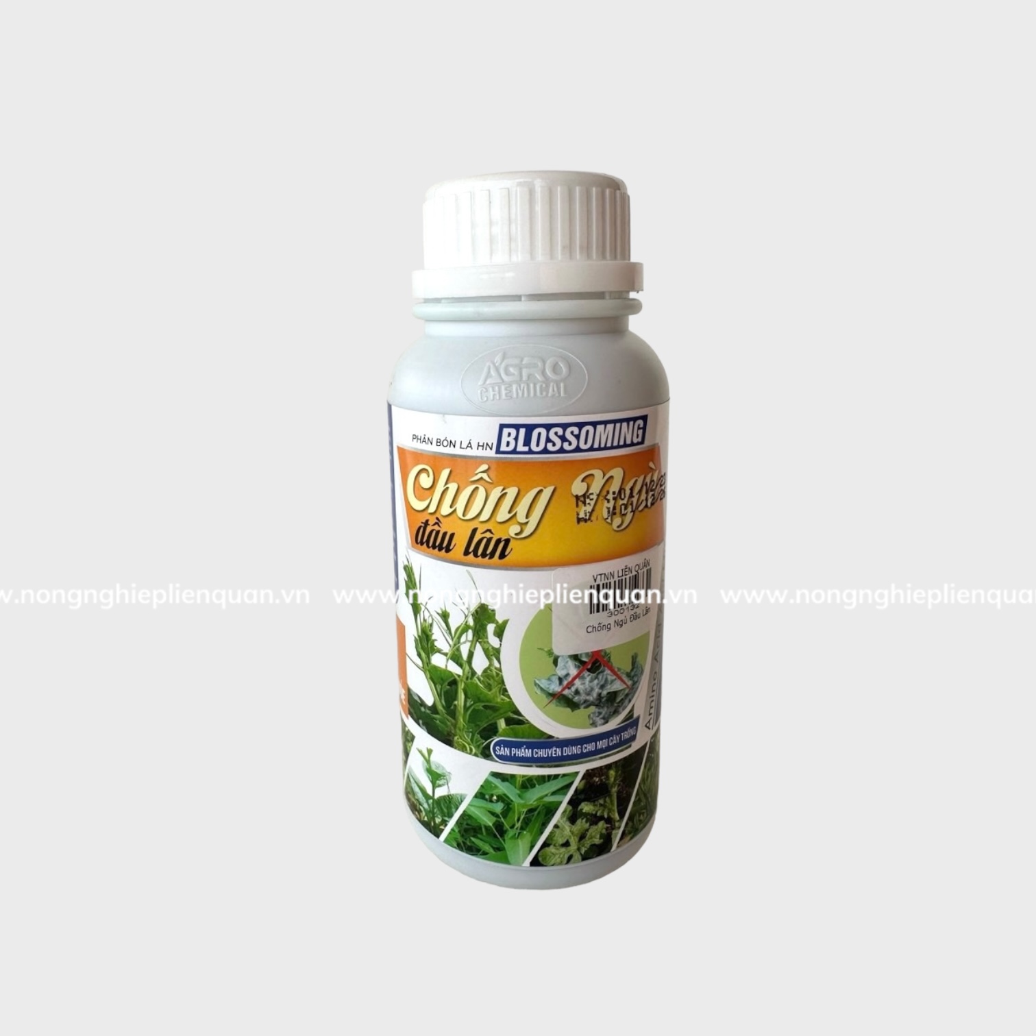 CHỐNG NGỦ ĐẦU LÂN