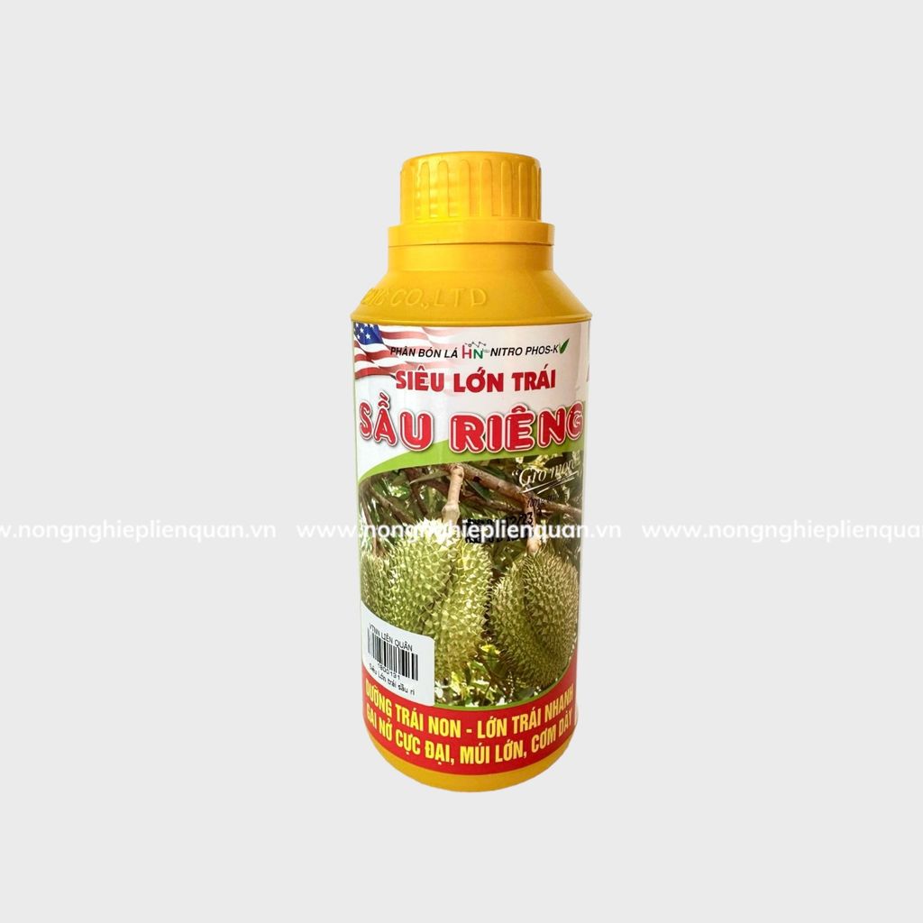 SIÊU LỚN TRÁI SẦU RIÊNG (HN)