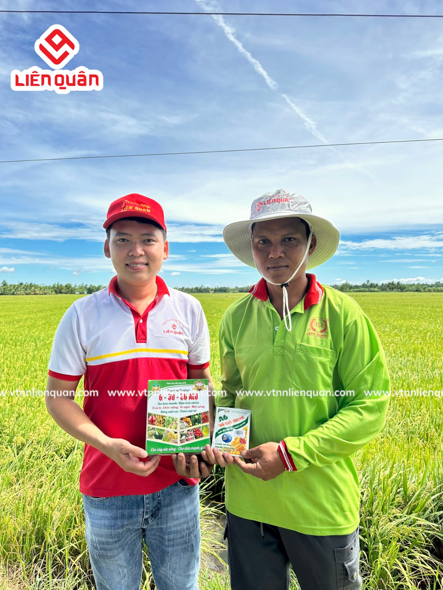TeamLiênQuân thăm ruộng Anh Tha - Cây Sộp - Kế Sách - Sóc Trăng