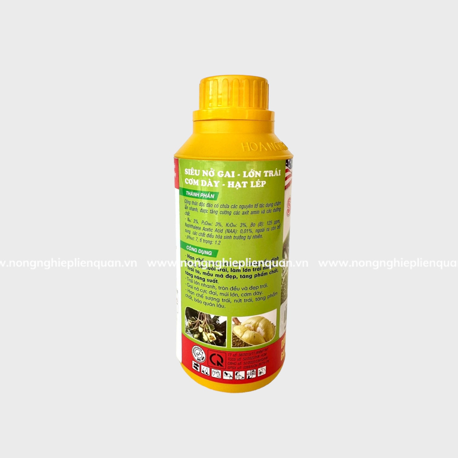 SIÊU LỚN TRÁI SẦU RIÊNG (HN)