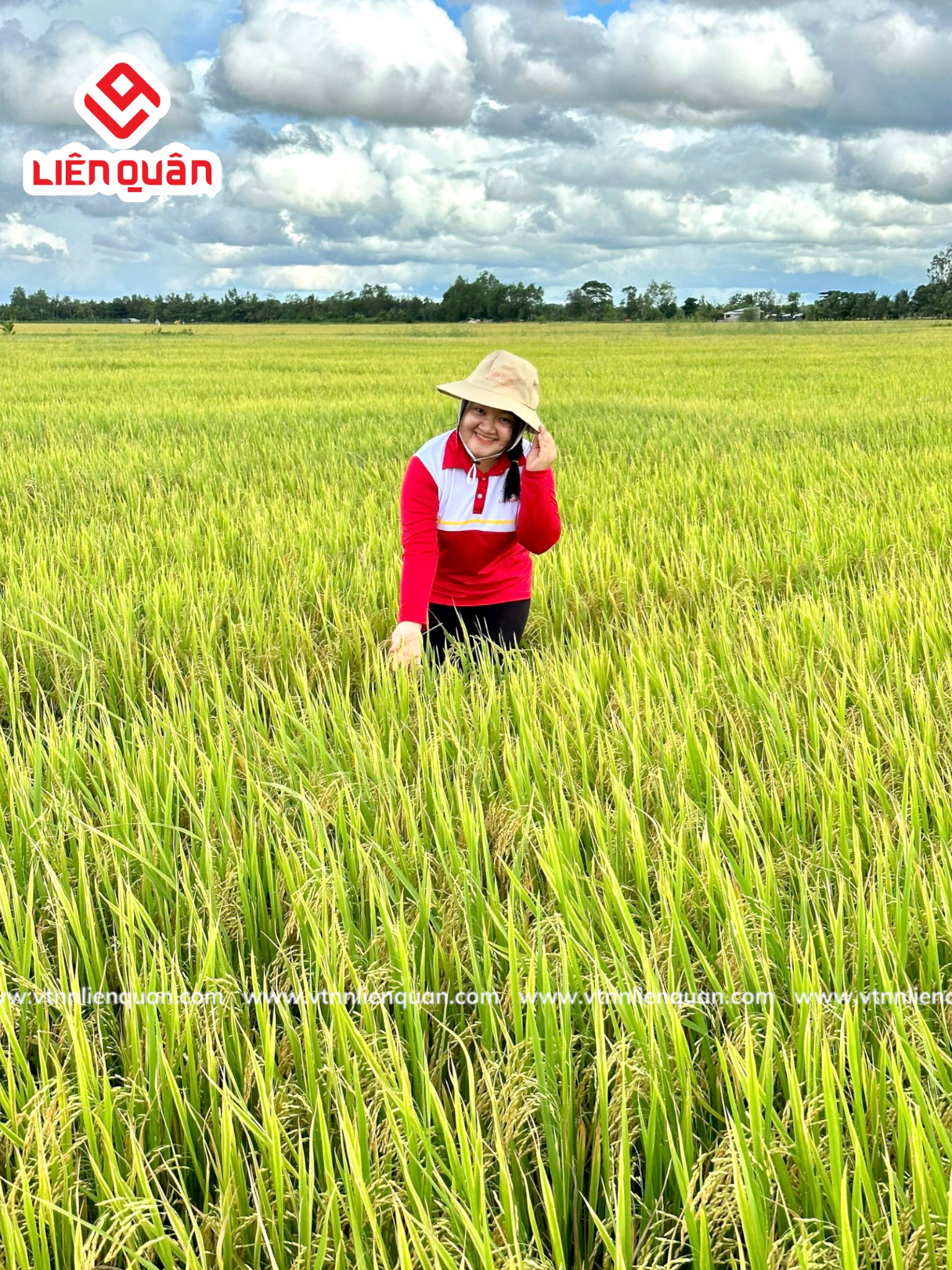 TeamLiênQuân thăm ruộng của Chú Sết ở ấp An Phú-Thị Trấn Kế Sách-Sóc Trăng
