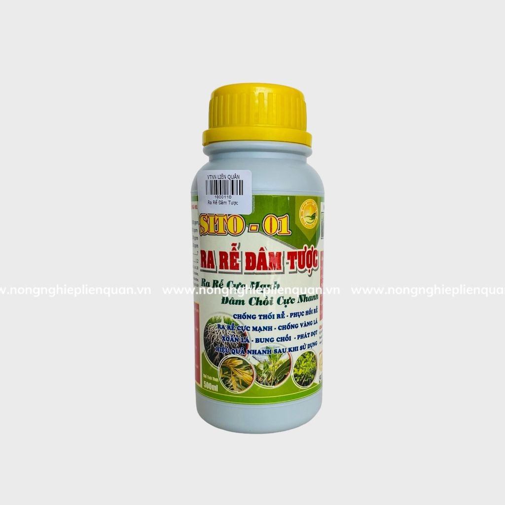 RA RỄ ĐÂM TƯỢC (500ml)