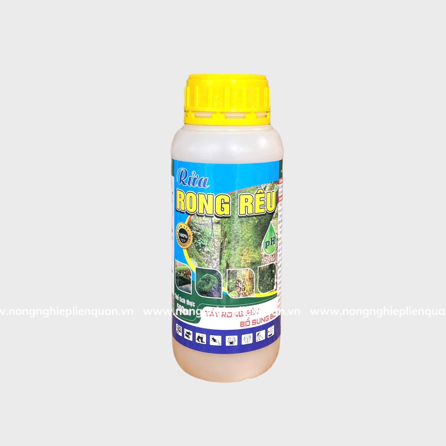 RỬA RONG RÊU
