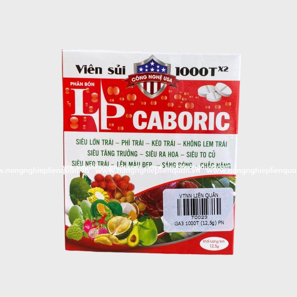 GA3 1000T (12,5g ) PN