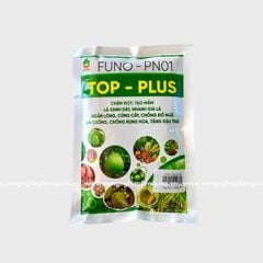 TOP PLUS