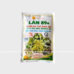 LÂN 89 + (500G)
